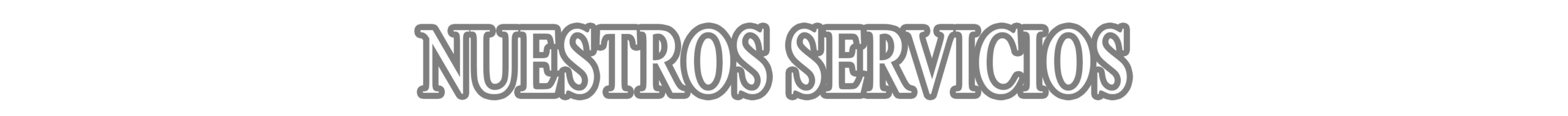 Nuestros servicios 45